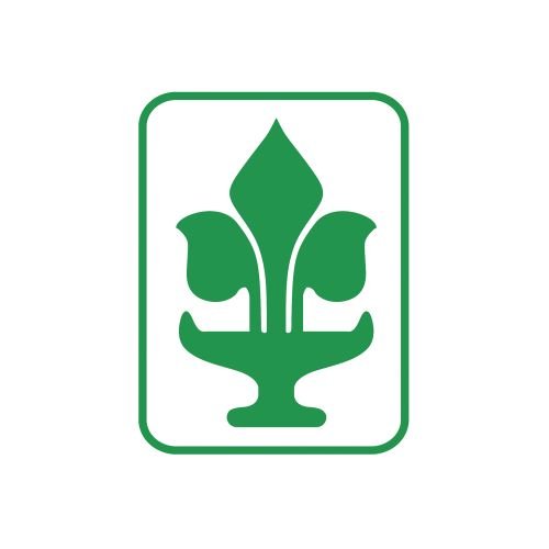 dummy-logo