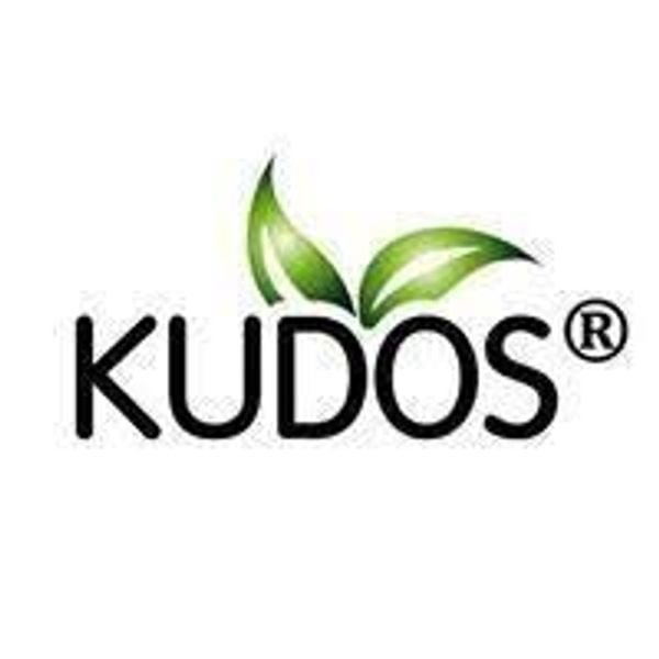 Kudos Triphala tablet