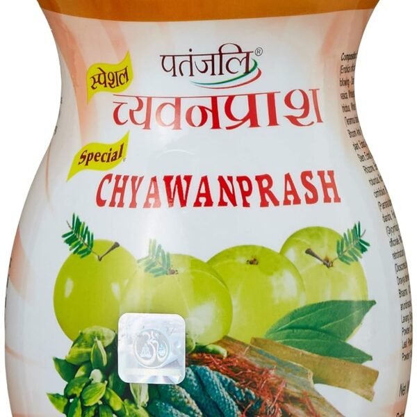 Patanjali Special Chyawanprash 1 kg