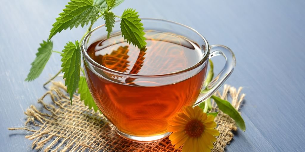 Ayurvedic medicine herbs and ancient texts